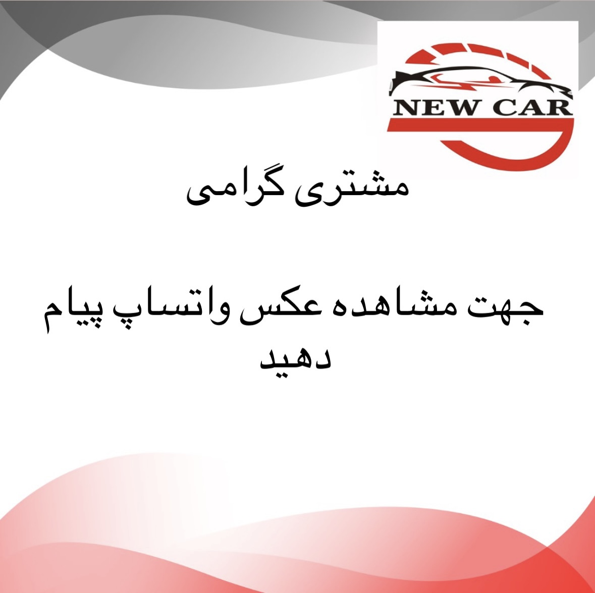 قاب استیل اگزوز عقب چپ ریسپکت